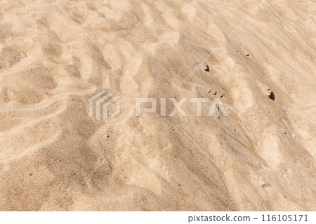Sandy dune surface, natural background photo with selective soft focus Sandy dune surface, natural background photo with selective soft focus 116105171
