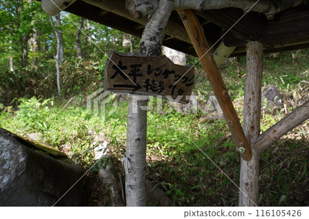 五味池哈風高原自然公園蓮華杜鵑東屋附近 2024 年 6 月 15 日 116105426