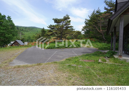 Renge azalea at Gomiike Hafu Kogen Nature Park, near the parking lot where the management building is located, June 15, 2024 116105433