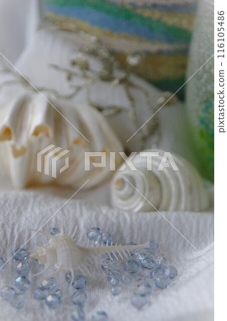 Seashell summer image Seashell summer image 116105486