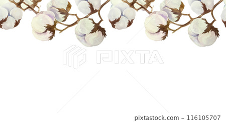 Cotton seamless border, horizontal. Hand drawn watercolor illustration isolated on white background. For greeting cards, invitations, textile labels, banners, covers, bed linen design element. 116105707