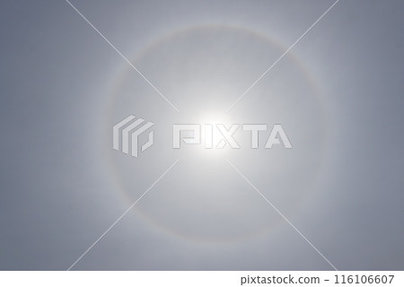 被太陽照亮的光暈 116106607