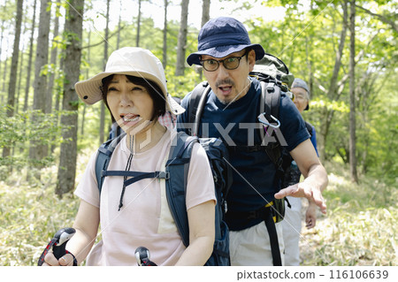 享受健行的中年男女 116106639