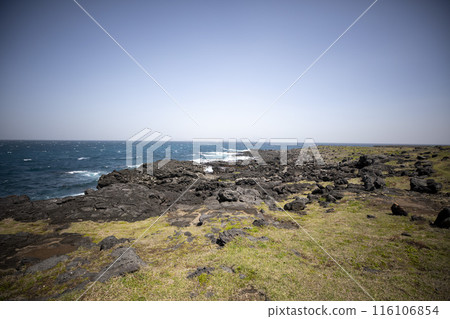 This is the beautiful scenery of Marado Island, located at the southernmost tip of South Korea. This is the beautiful scenery of Marado Island, located at the southernmost tip of South Korea. 116106854