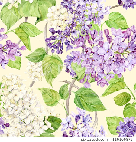 Watercolor background with lilac. Seamless pattern of spring flowers. Botanical hand drawn illustration for fabric, textile, wallpaper, wrapping paper. Watercolor background with lilac. Seamless pattern of spring flowers. Botanical hand drawn illustration for fabric, textile, wallpaper, wrapping paper. 116106875