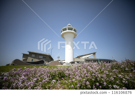 This is the beautiful scenery of Marado Island, located at the southernmost tip of South Korea. This is the beautiful scenery of Marado Island, located at the southernmost tip of South Korea. 116106876