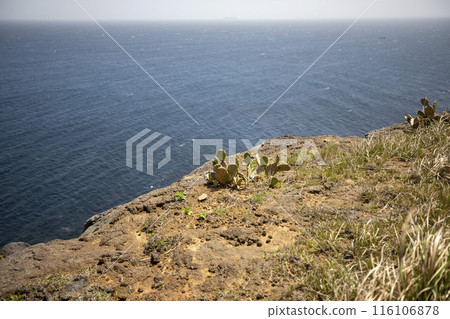 This is the beautiful scenery of Marado Island, located at the southernmost tip of South Korea. This is the beautiful scenery of Marado Island, located at the southernmost tip of South Korea. 116106878