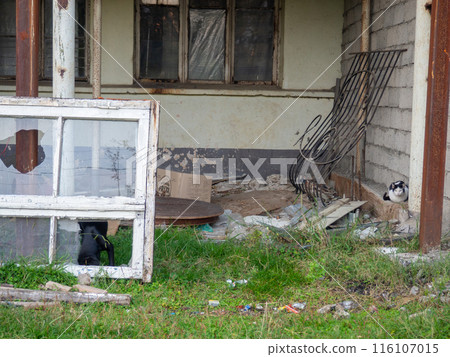 An old broken window among the debris. Construction rubbish. Dump. Place of repair. An old broken window among the debris. Construction rubbish. Dump. Place of repair. 116107015