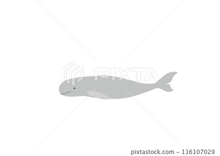 Finless Porpoise 116107029