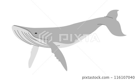 Sperm whale Sperm whale 116107040