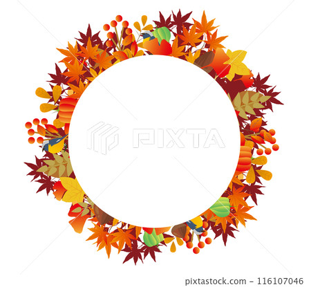 Autumn leaves 116107046