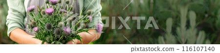 a woman holds a bouquet of thistles 116107140