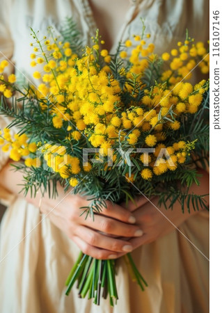 Gentle hands envelop a bright bouquet of mimosa flowers 116107146