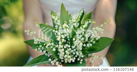 a bouquet of lilies of the valley cradled in gentle woman hands 116107148