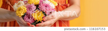 A woman hands gently hold a vibrant bouquet of chrysanthemums 116107153