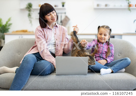 Mother and daughter with cat relaxing on sofa using laptop Mother and daughter with cat relaxing on sofa using laptop 116107245