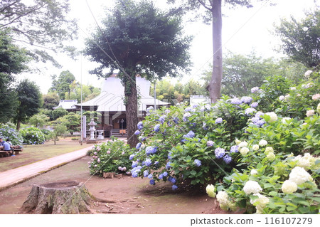 市原市繡球寺 市原市繡球寺 116107279