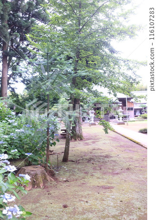 市原市繡球寺 116107283