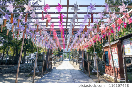 風一吹就會往好的方向發展的白鳥神社的風車(香川縣東香川市) 風一吹就會往好的方向發展的白鳥神社的風車(香川縣東香川市) 116107458