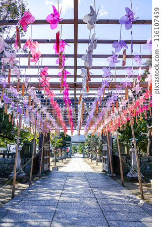 風一吹就會往好的方向發展的白鳥神社的風車(香川縣東香川市) 風一吹就會往好的方向發展的白鳥神社的風車(香川縣東香川市) 116107459