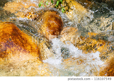 [Mountain stream material] Splashing mountain stream [Nagano Prefecture] 116107549