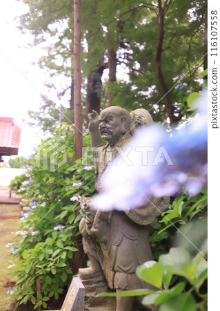 Hydrangea Temple, Ichihara City Hydrangea Temple, Ichihara City 116107558