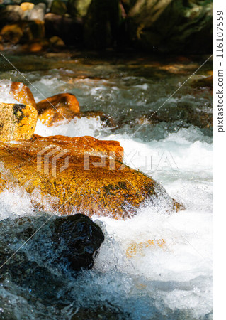 [Mountain stream material] Splashing mountain stream [Nagano Prefecture] 116107559