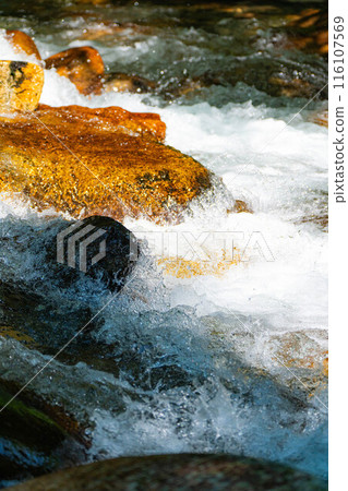 [Mountain stream material] Splashing mountain stream [Nagano Prefecture] 116107569