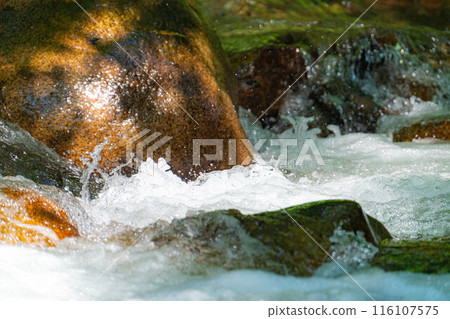 [Mountain stream material] Splashing mountain stream [Nagano Prefecture] 116107575