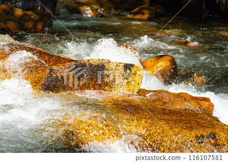 [Mountain stream material] Splashing mountain stream [Nagano Prefecture] 116107581