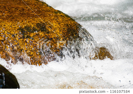 [Mountain stream material] Splashing mountain stream [Nagano Prefecture] 116107584