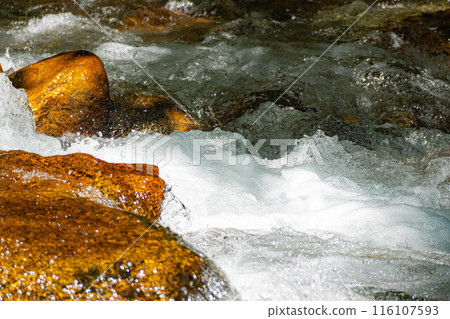 [Mountain stream material] Splashing mountain stream [Nagano Prefecture] 116107593