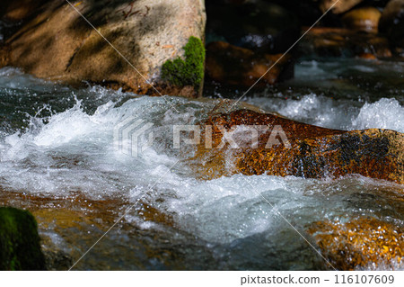 [Mountain stream material] Splashing mountain stream [Nagano Prefecture] 116107609