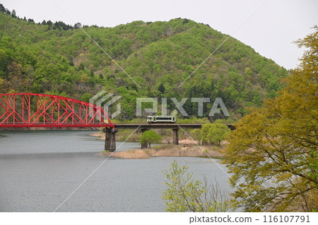 金州湖上的紅色鐵橋 116107791