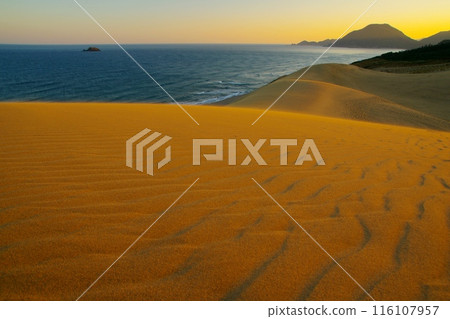 Scenery of the Tottori Sand Dunes and the Sea of Japan shining golden in the morning sun Ver1 Scenery of the Tottori Sand Dunes and the Sea of Japan shining golden in the morning sun Ver1 116107957