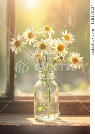 Tranquil Morning Light with Fresh Daisy Arrangement on Window Sill 116108124