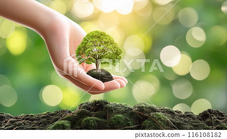 Environmental protection image forest 116108182