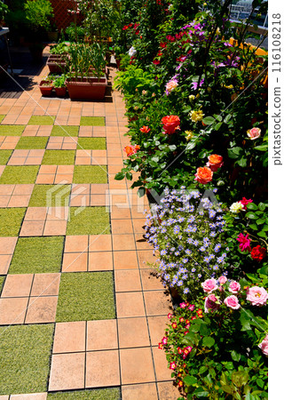 屋頂陽台色彩繽紛的花園 屋頂陽台色彩繽紛的花園 116108218