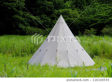 Tent in the green 116108545