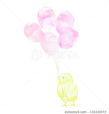 一個快樂可愛的小雞的圖標，嘴裡叼著一堆粉紅色的氣球。水彩插圖。 116108553