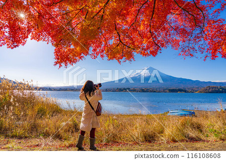 [富士山素材]秋天從河口湖看到的白雪皚皚的富士山和紅葉[山梨縣] 116108608