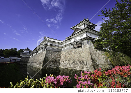 Spring at Kanazawa Castle Park when azaleas are in full bloom Spring at Kanazawa Castle Park when azaleas are in full bloom 116108737