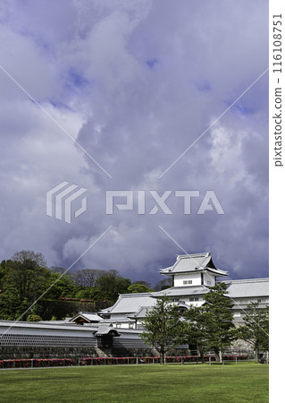 Spring at Kanazawa Castle Park when azaleas are in full bloom 116108751
