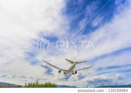夏季 大阪機場（伊丹機場） 飛機降落大阪府豐中市 116108964