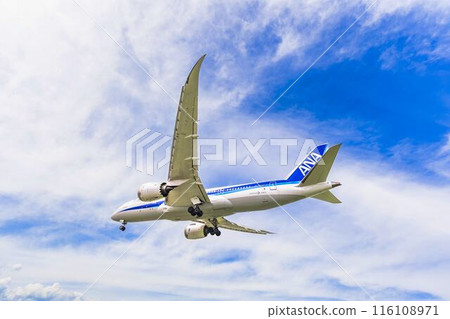 Osaka Airport (Itami Airport) in summer, landing plane, Toyonaka City, Osaka Prefecture Osaka Airport (Itami Airport) in summer, landing plane, Toyonaka City, Osaka Prefecture 116108971