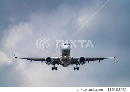 Osaka Airport (Itami Airport) in summer, landing plane, Toyonaka City, Osaka Prefecture 116108981