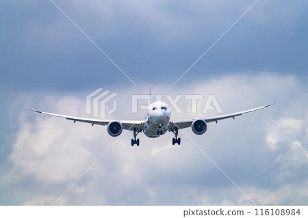 Osaka Airport (Itami Airport) in summer, landing plane, Toyonaka City, Osaka Prefecture 116108984