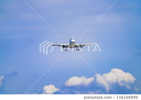 夏季 大阪機場(伊丹機場) 飛機降落大阪府豐中市 夏季 大阪機場(伊丹機場) 飛機降落大阪府豐中市 116108999