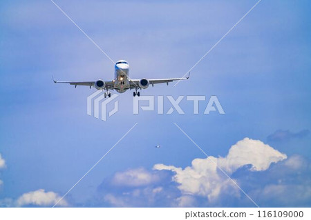 夏季 大阪機場（伊丹機場） 飛機降落大阪府豐中市 116109000