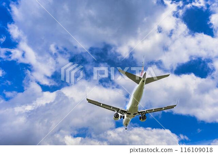 夏季 大阪機場（伊丹機場） 飛機降落大阪府豐中市 116109018